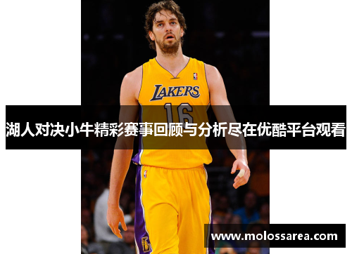 湖人对决小牛精彩赛事回顾与分析尽在优酷平台观看