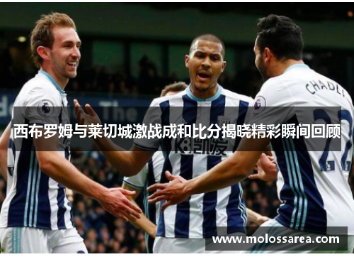 西布罗姆与莱切城激战成和比分揭晓精彩瞬间回顾