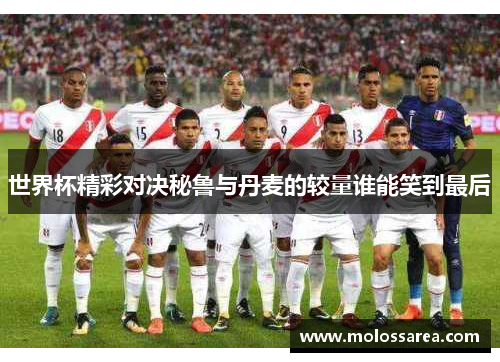 世界杯精彩对决秘鲁与丹麦的较量谁能笑到最后