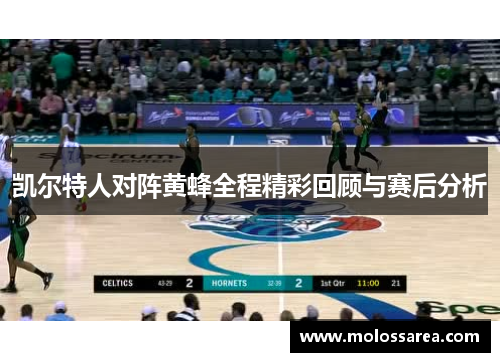 凯尔特人对阵黄蜂全程精彩回顾与赛后分析