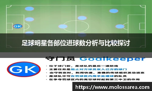 mk体育官网入口